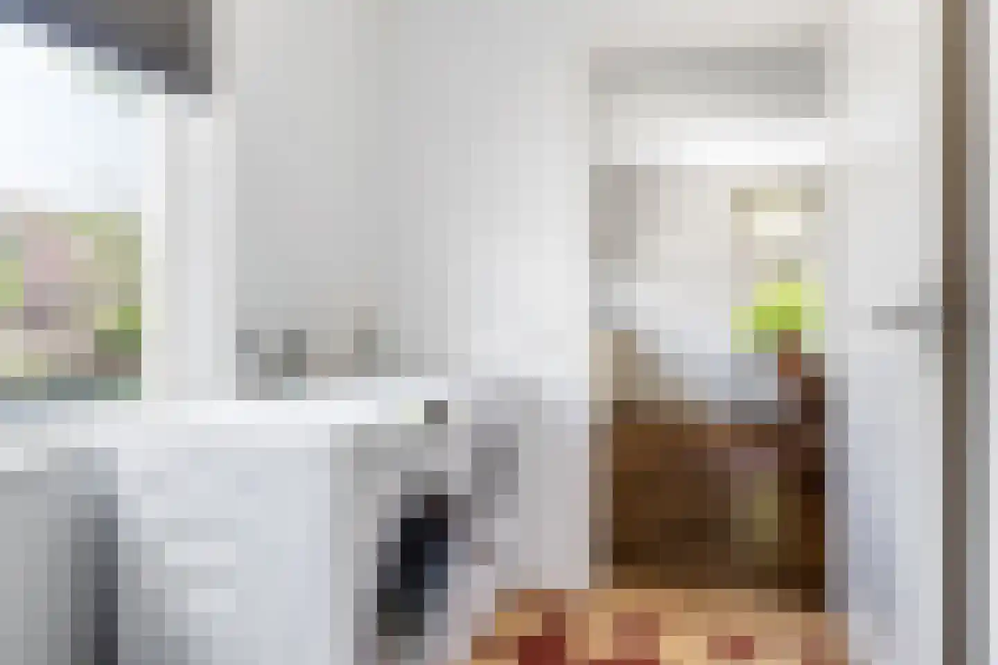 Sylsterhoeke 5 Raerd thumbnail 18