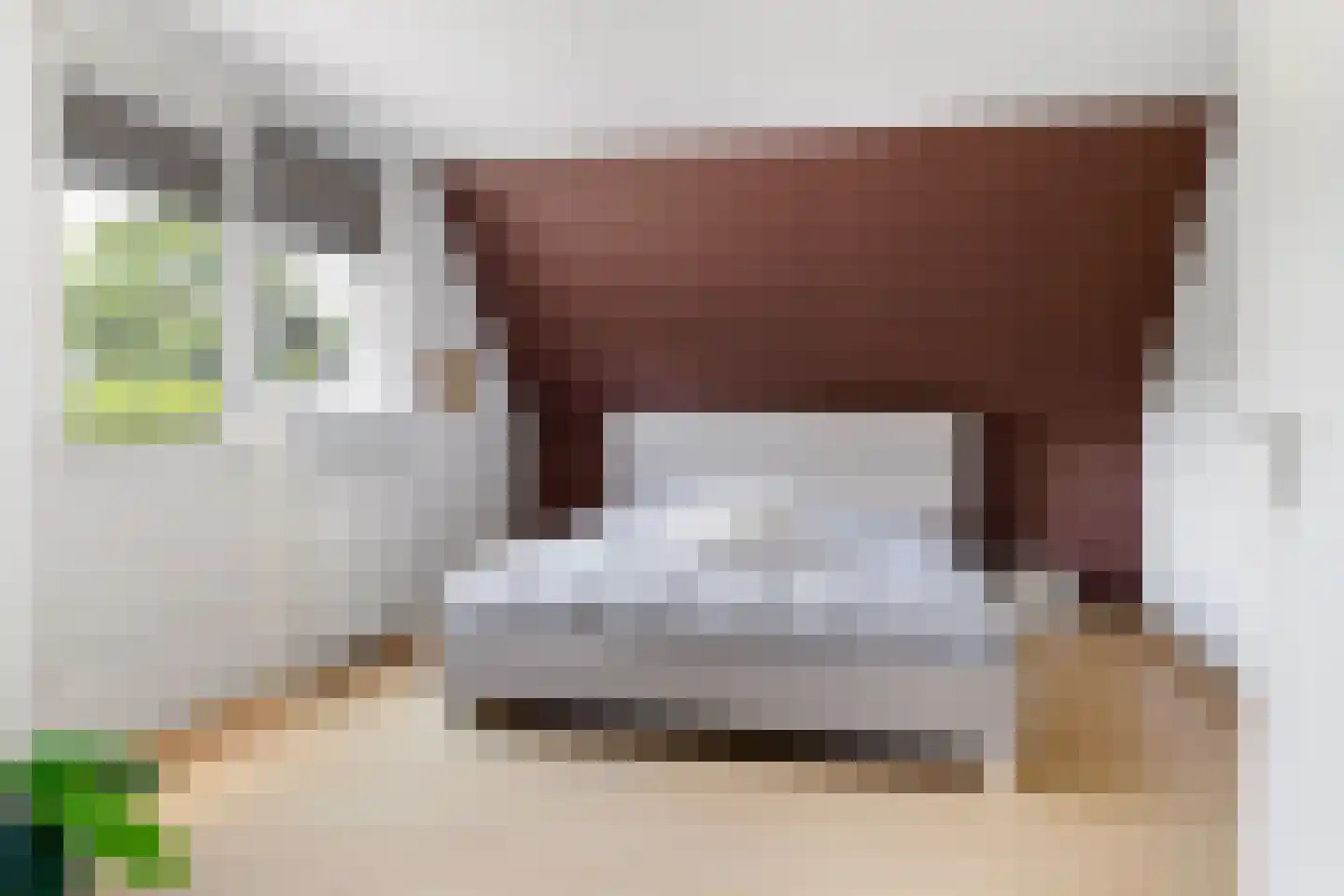 Sylsterhoeke 5 Raerd thumbnail 20