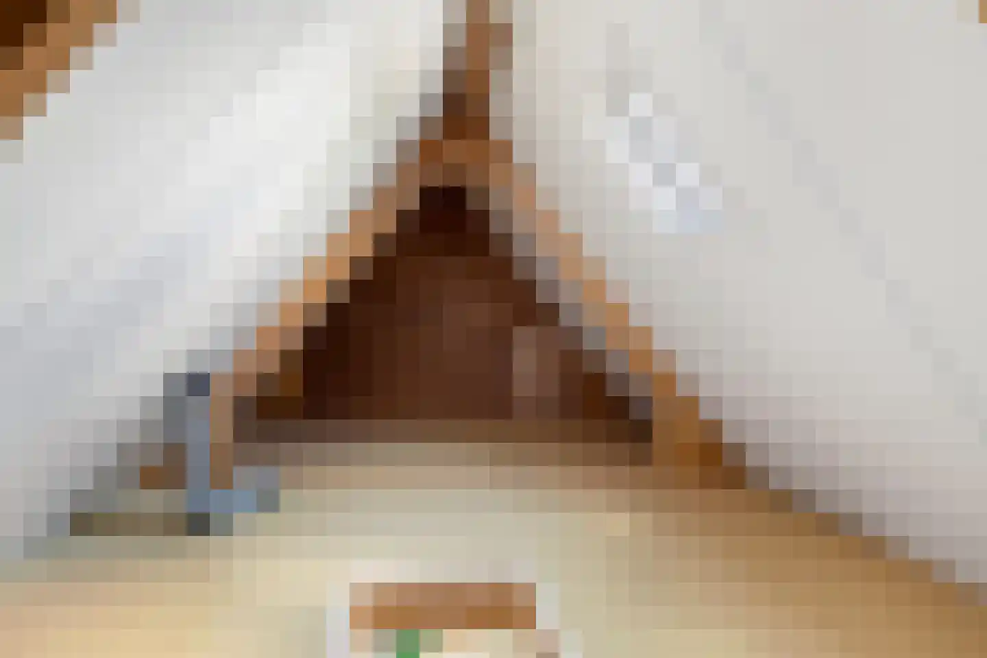 Sylsterhoeke 5 Raerd thumbnail 28