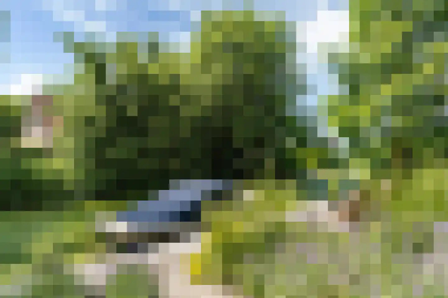 Sylsterhoeke 5 Raerd thumbnail 34