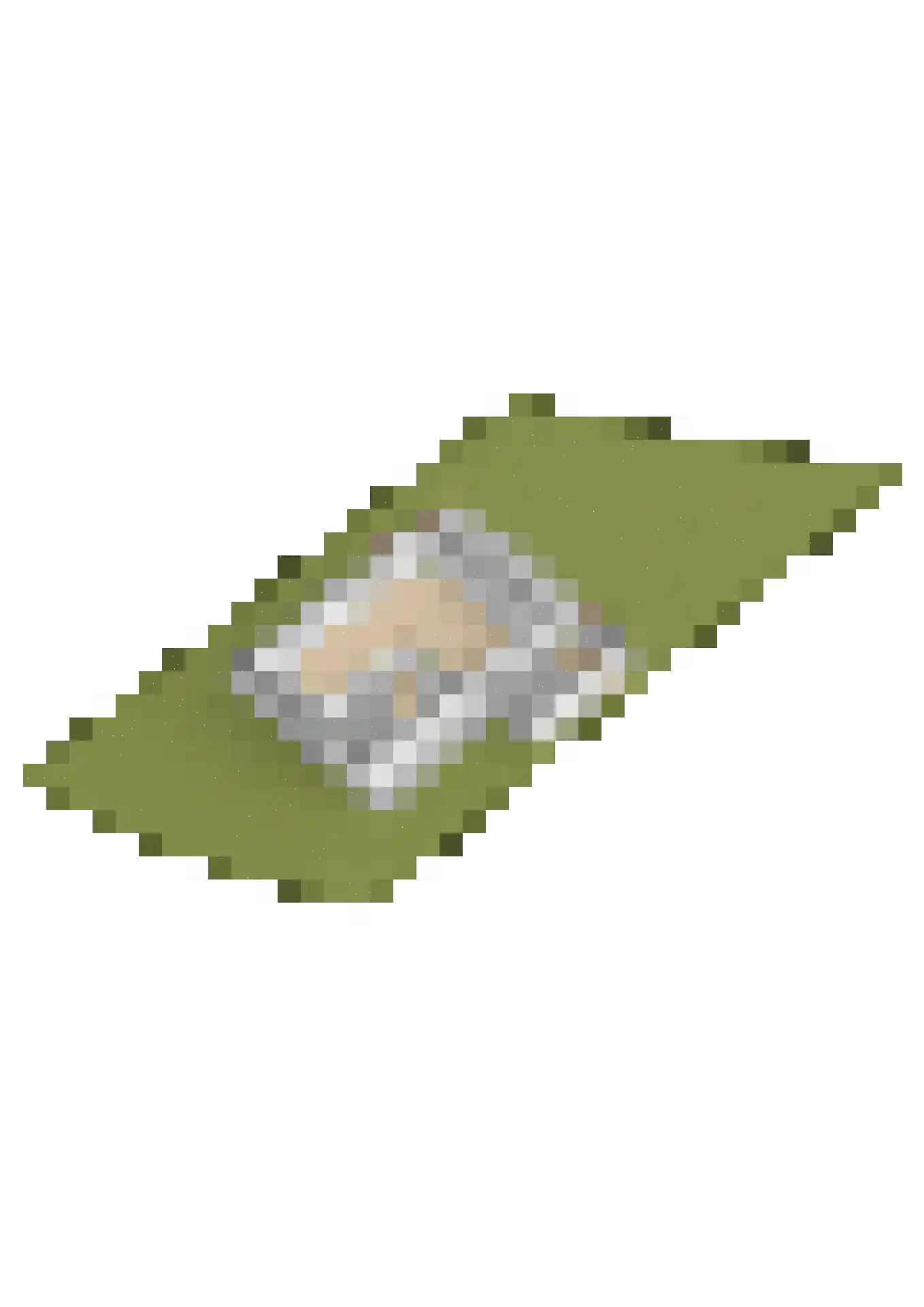 Sylsterhoeke 5 Raerd thumbnail 48