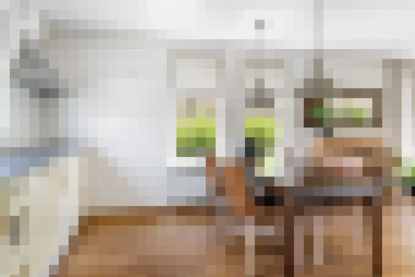 Sylsterhoeke 5 Raerd thumbnail 9