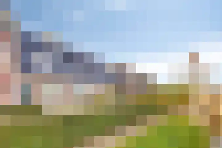 Sylsterwei 20 Ingwierrum thumbnail 10