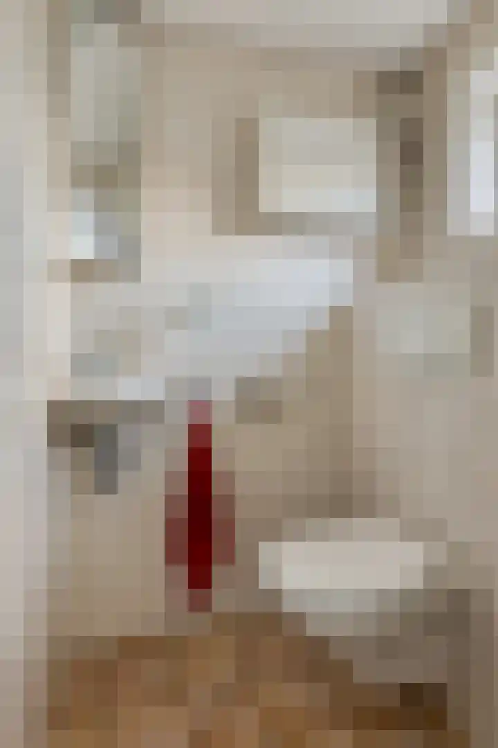 Sylsterwei 20 Ingwierrum thumbnail 13