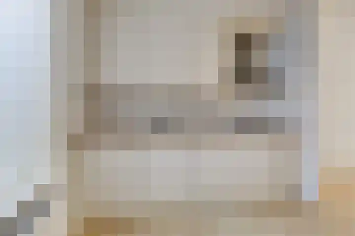Sylsterwei 20 Ingwierrum thumbnail 21