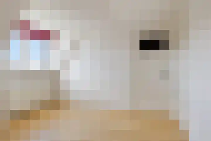 Sylsterwei 20 Ingwierrum thumbnail 27