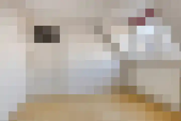 Sylsterwei 20 Ingwierrum thumbnail 30