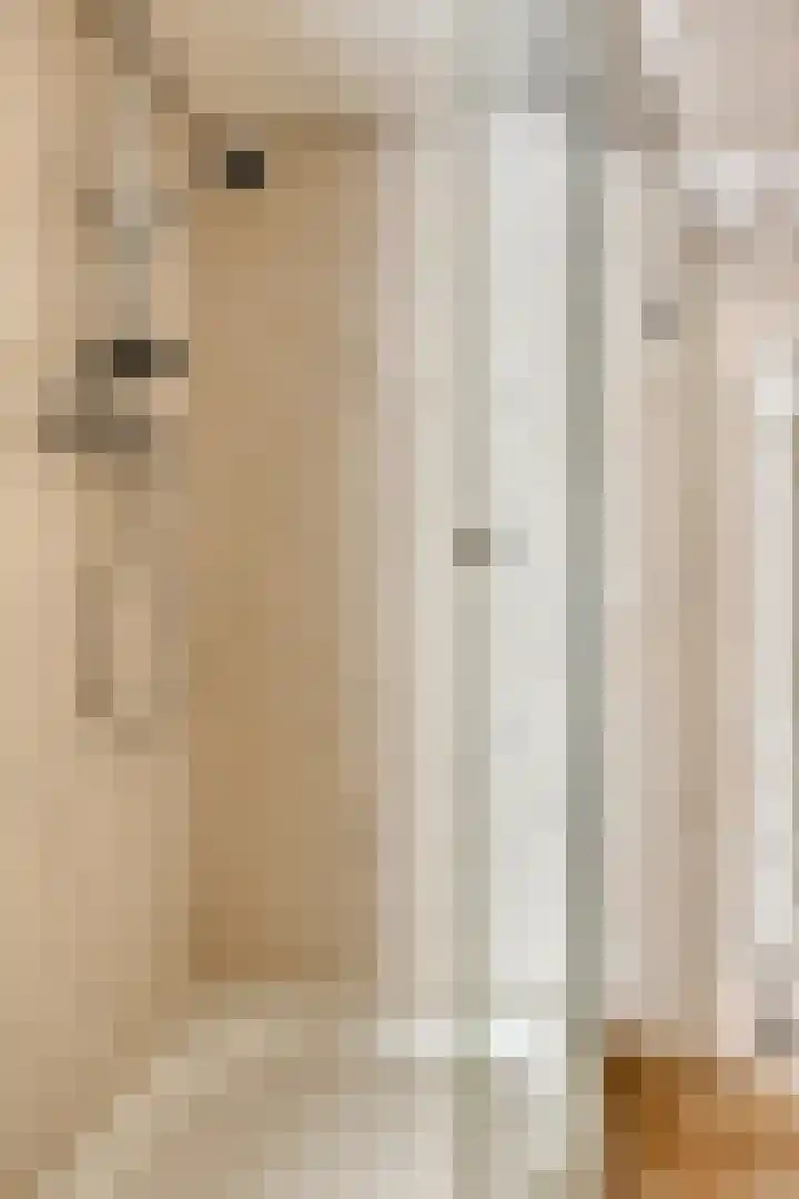 Sylsterwei 20 Ingwierrum thumbnail 35