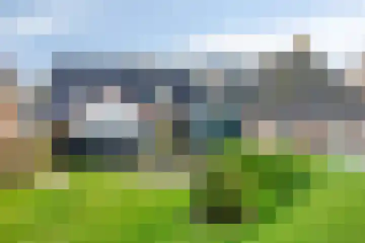 Sylsterwei 20 Ingwierrum thumbnail 4
