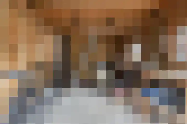 Sylsterwei 20 Ingwierrum thumbnail 41