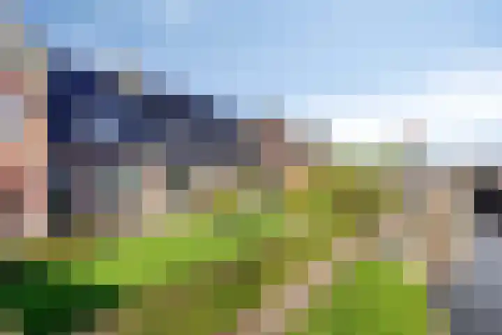 Sylsterwei 20 Ingwierrum thumbnail 7