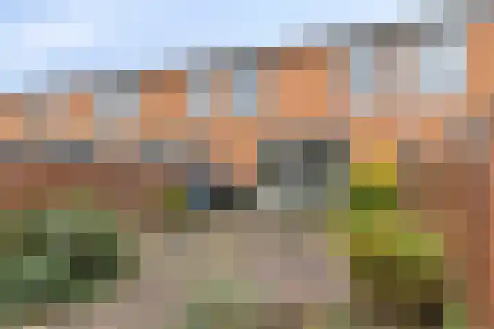 Syltpier 48 Zaandam thumbnail 13