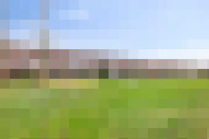 Syltpier 48 Zaandam thumbnail 28