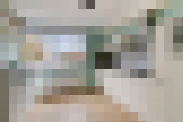Syltpier 48 Zaandam thumbnail 8