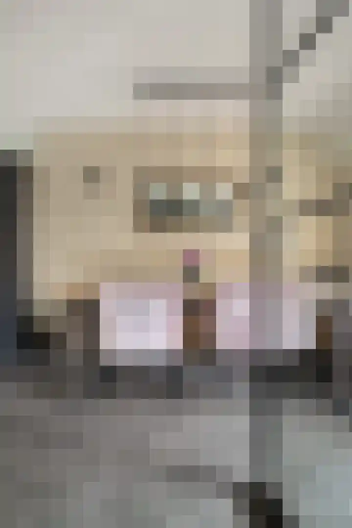 Sylvanergaard 16 Spijkenisse thumbnail 10