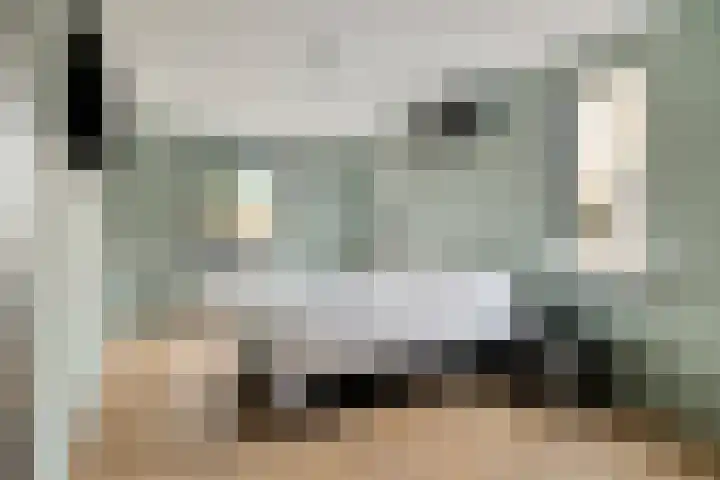 Sylvanergaard 16 Spijkenisse thumbnail 17