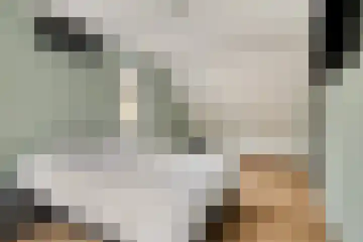 Sylvanergaard 16 Spijkenisse thumbnail 18