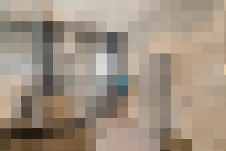 Sylvanergaard 16 Spijkenisse thumbnail 19