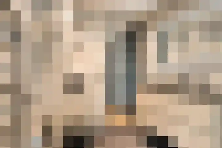Sylvanergaard 16 Spijkenisse thumbnail 20