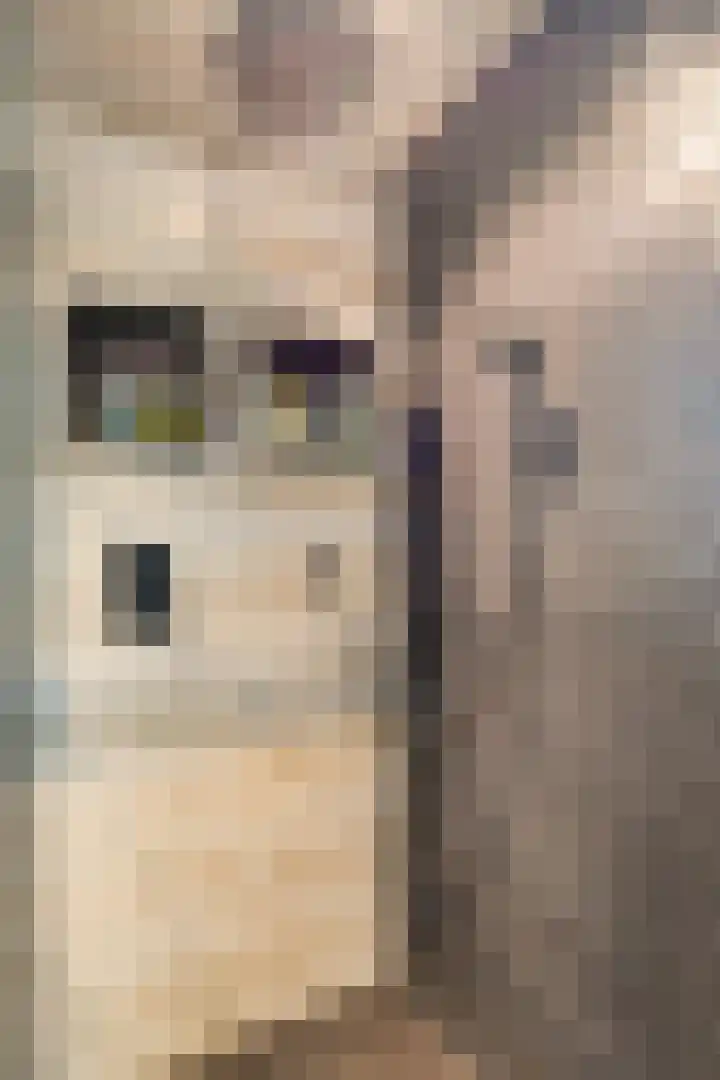 Sylvanergaard 16 Spijkenisse thumbnail 22