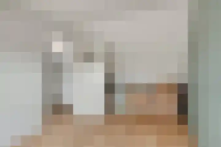 Sylvanergaard 16 Spijkenisse thumbnail 33