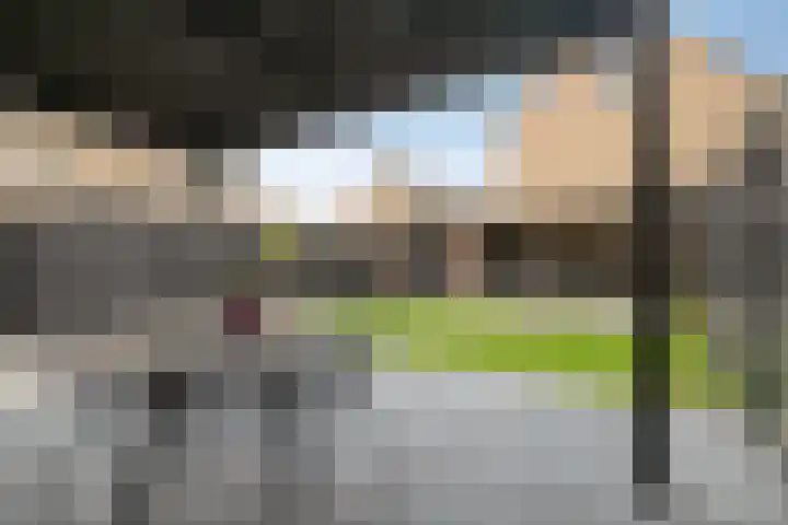Sylvanergaard 16 Spijkenisse thumbnail 34