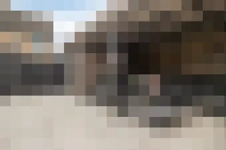 Sylvanergaard 16 Spijkenisse thumbnail 36