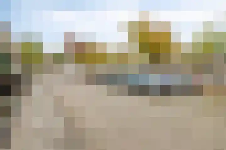 Sylvanergaard 16 Spijkenisse thumbnail 41