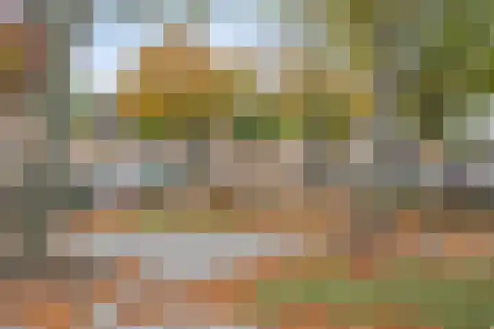 Sylvanergaard 16 Spijkenisse thumbnail 42