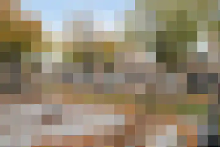 Sylvanergaard 16 Spijkenisse thumbnail 43