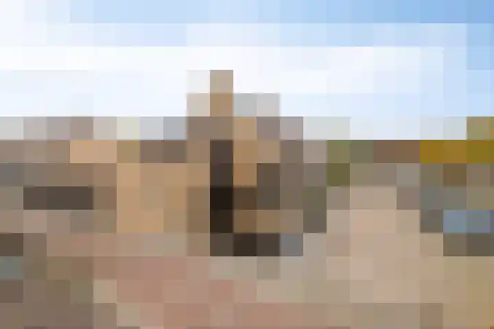 Sylvanergaard 16 Spijkenisse thumbnail 45