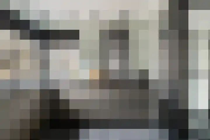 Sylvanergaard 16 Spijkenisse thumbnail 7