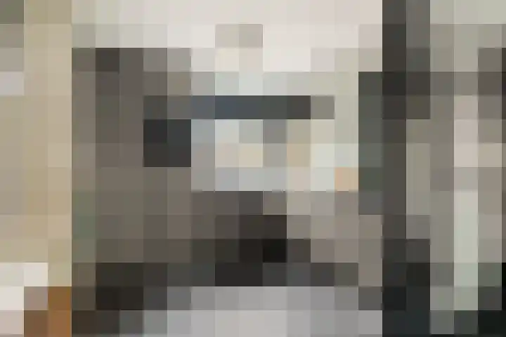 Sylvanergaard 16 Spijkenisse thumbnail 8