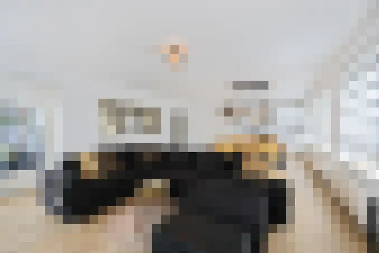Symfonie 1 Zaandam thumbnail 10