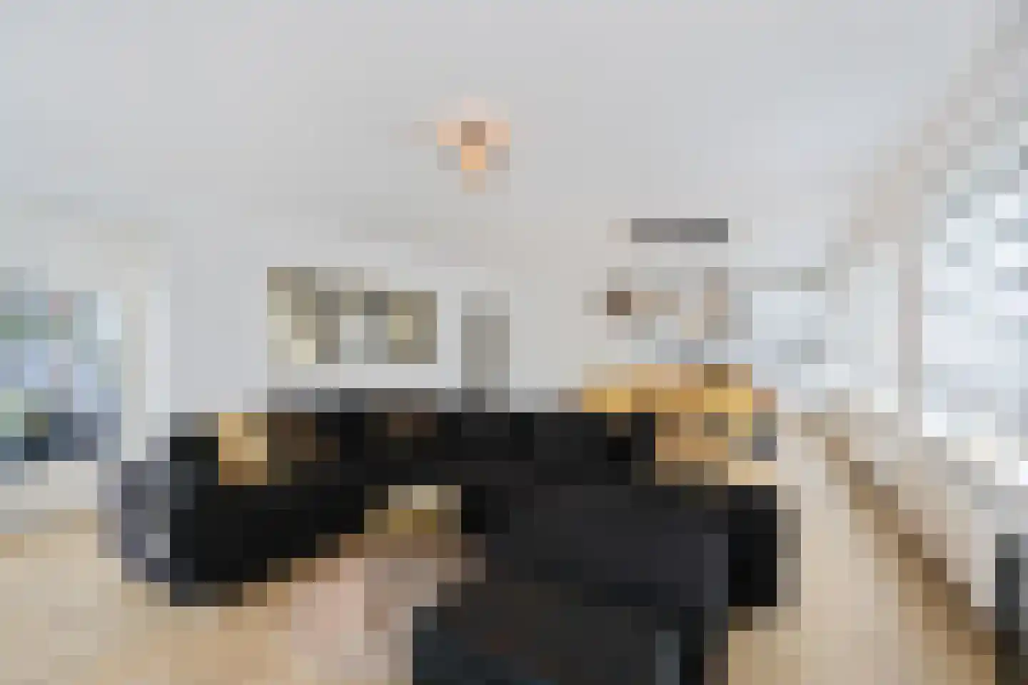Symfonie 1 Zaandam thumbnail 10