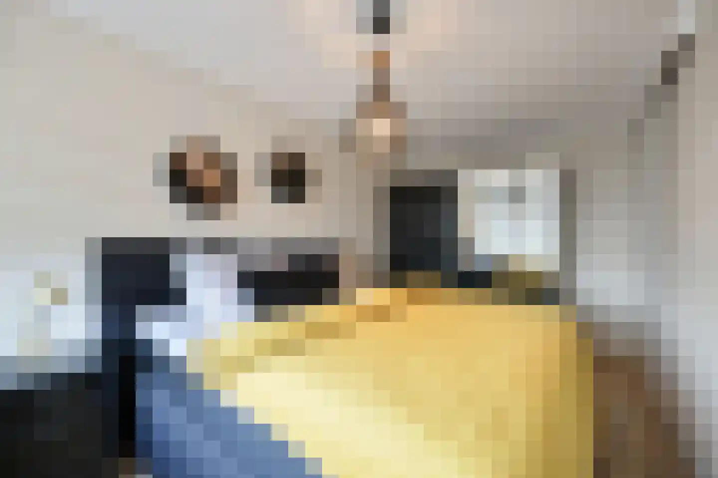Symfonie 1 Zaandam thumbnail 16