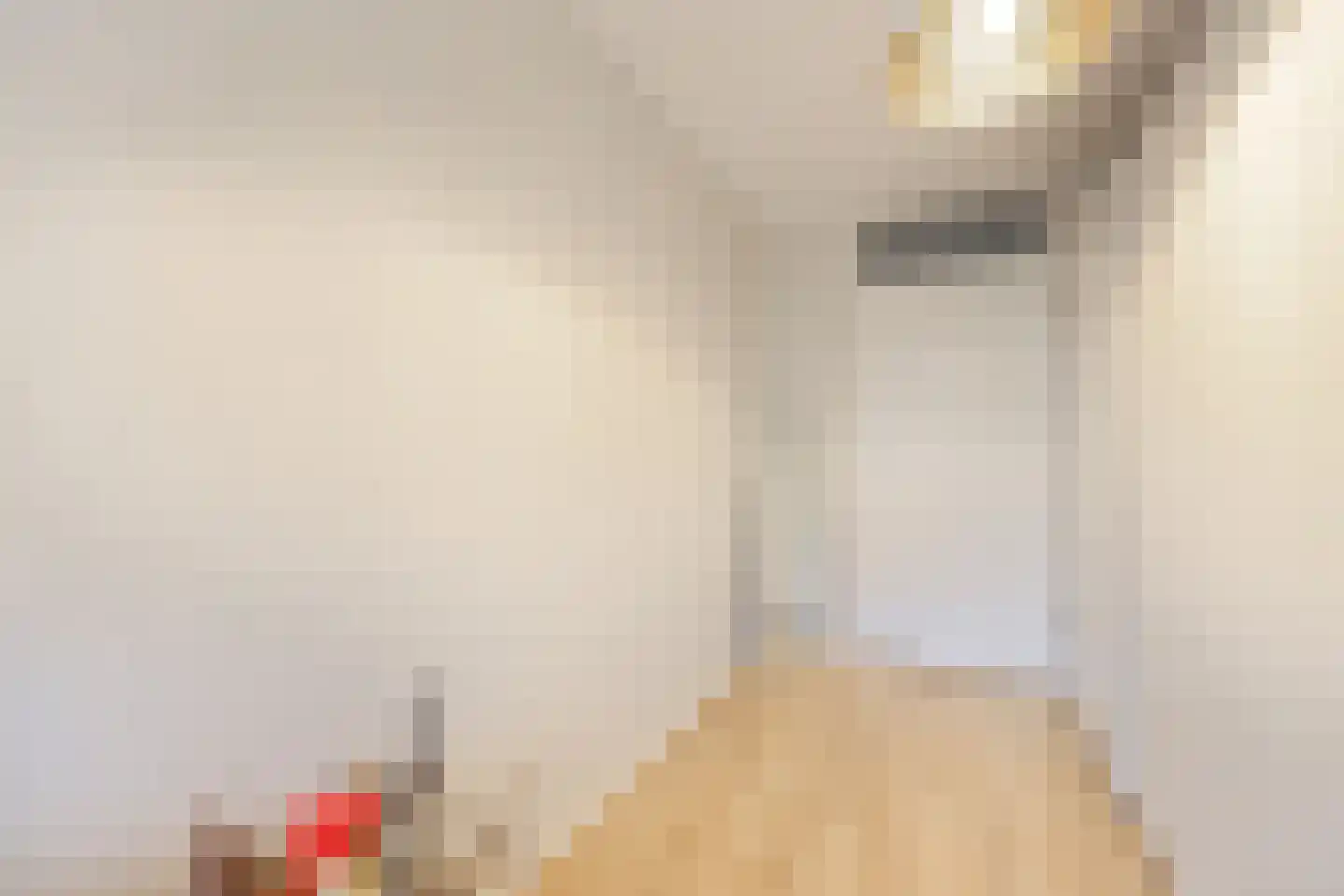 Symfonie 1 Zaandam thumbnail 21