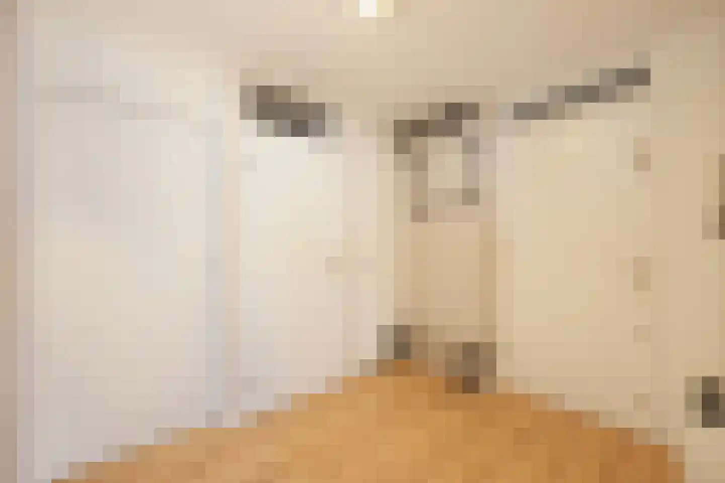 Symfonie 1 Zaandam thumbnail 7