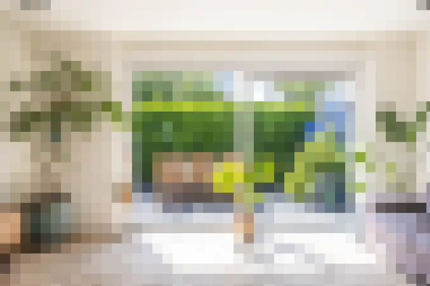 Symfonie 101 Zaandam thumbnail 11