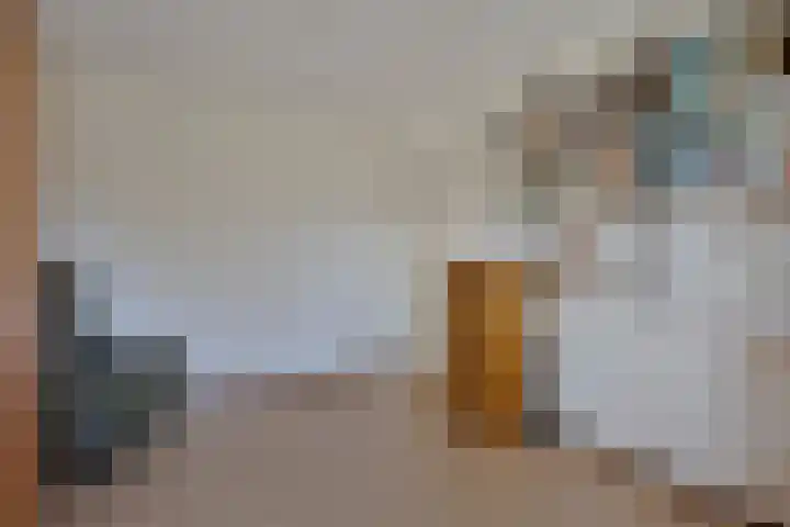 Symfonie 12 Uden thumbnail 23