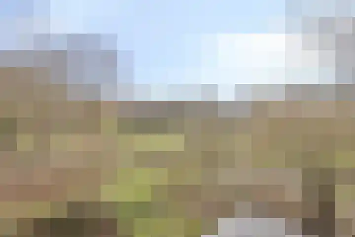 Symfonie 12 Uden thumbnail 27