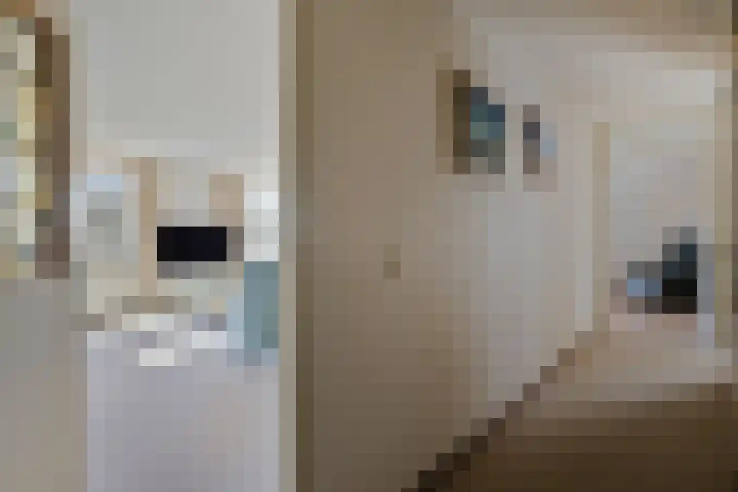 Symfonie 12 Uden thumbnail 9