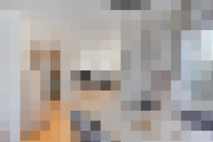 Symfonie 13 Uden thumbnail 16