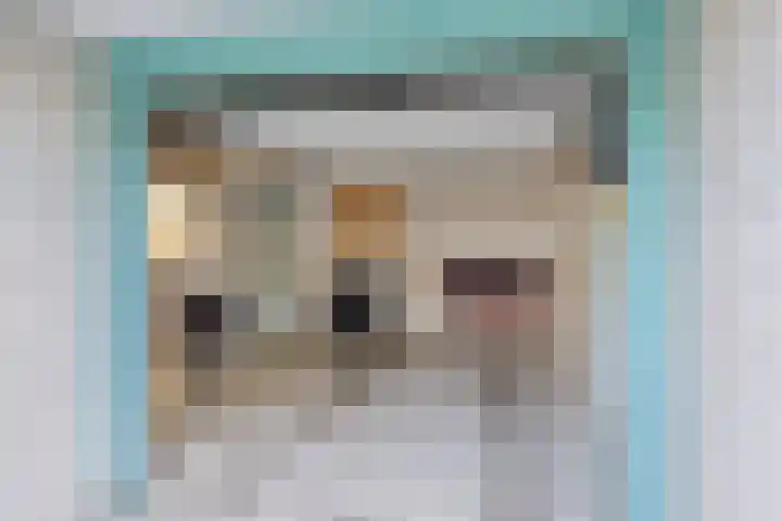 Symfonie 13 Uden thumbnail 32