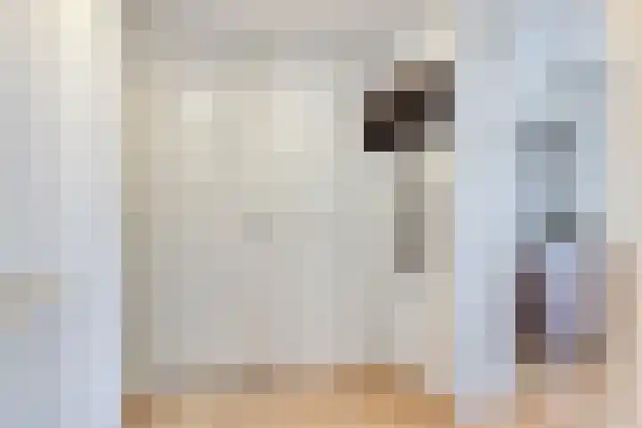 Symfonie 13 Uden thumbnail 8