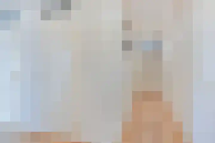 Symfonie 13 Uden thumbnail 9