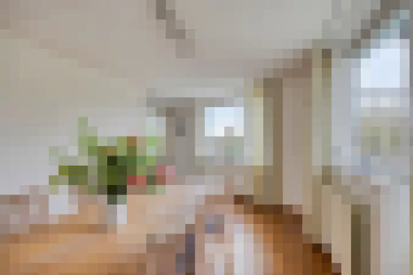 Symfonie 18 Uden thumbnail 10