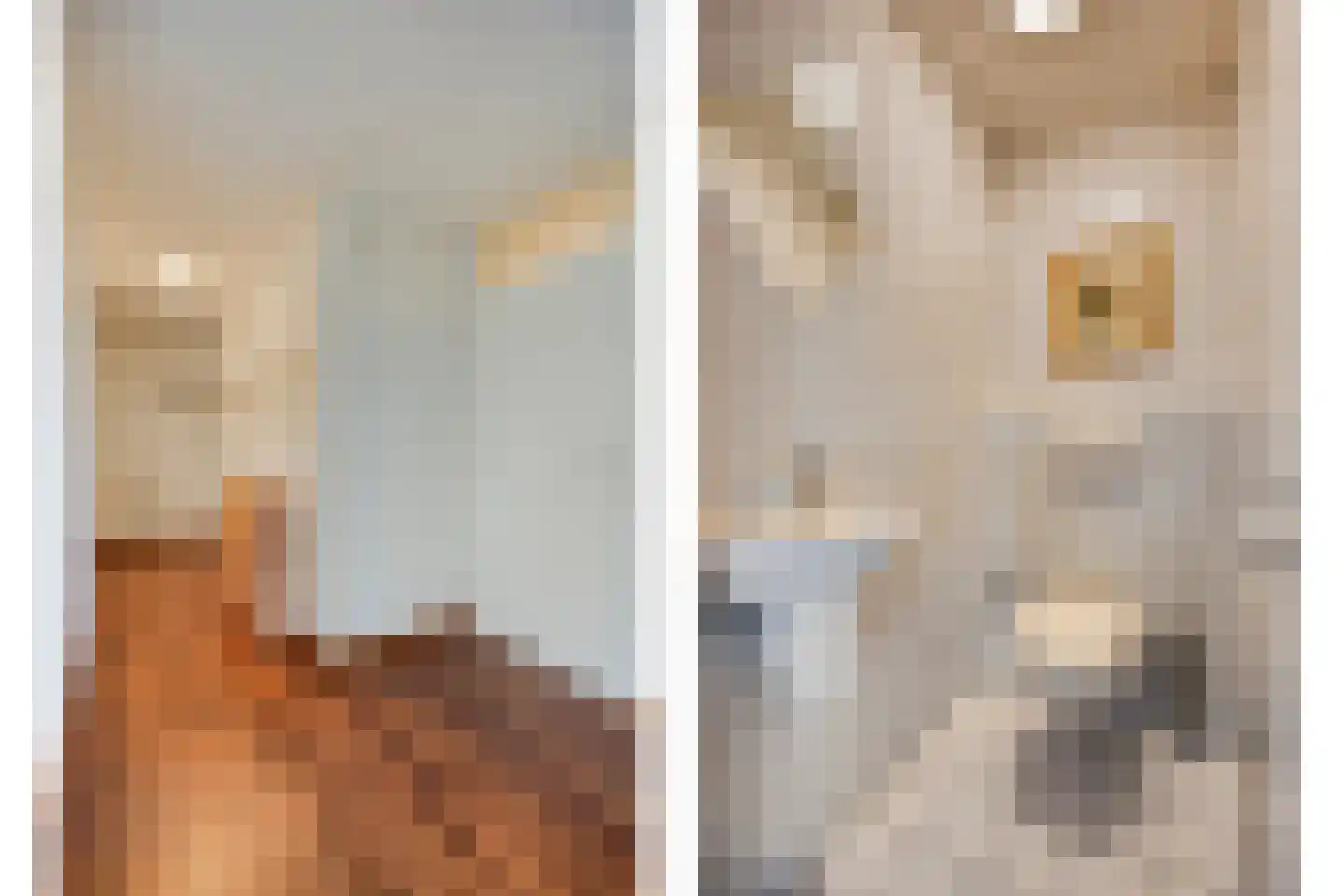 Symfonie 18 Uden thumbnail 15