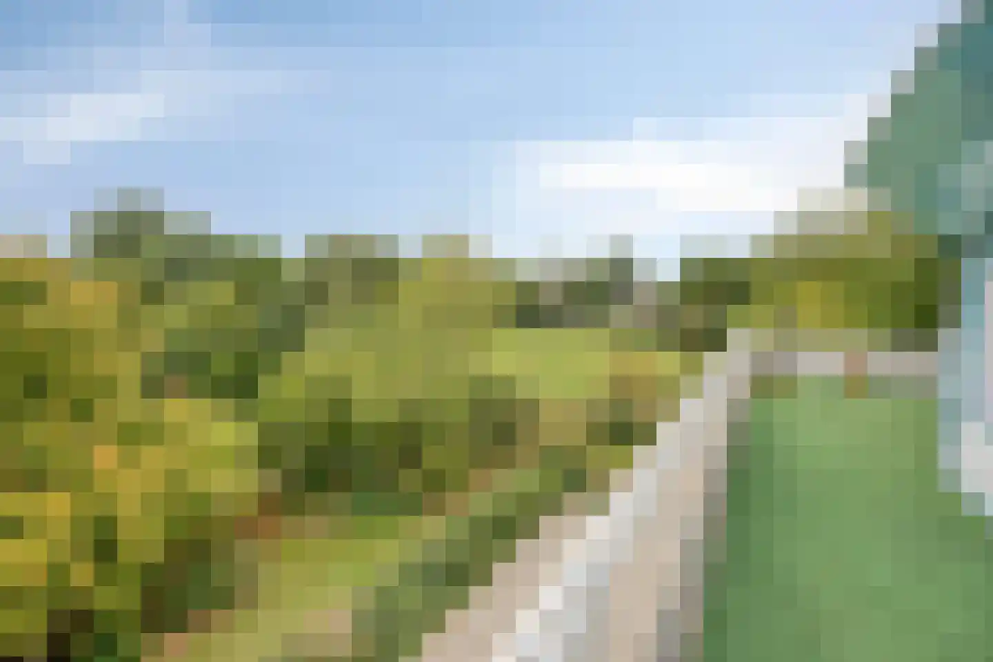 Symfonie 18 Uden thumbnail 24