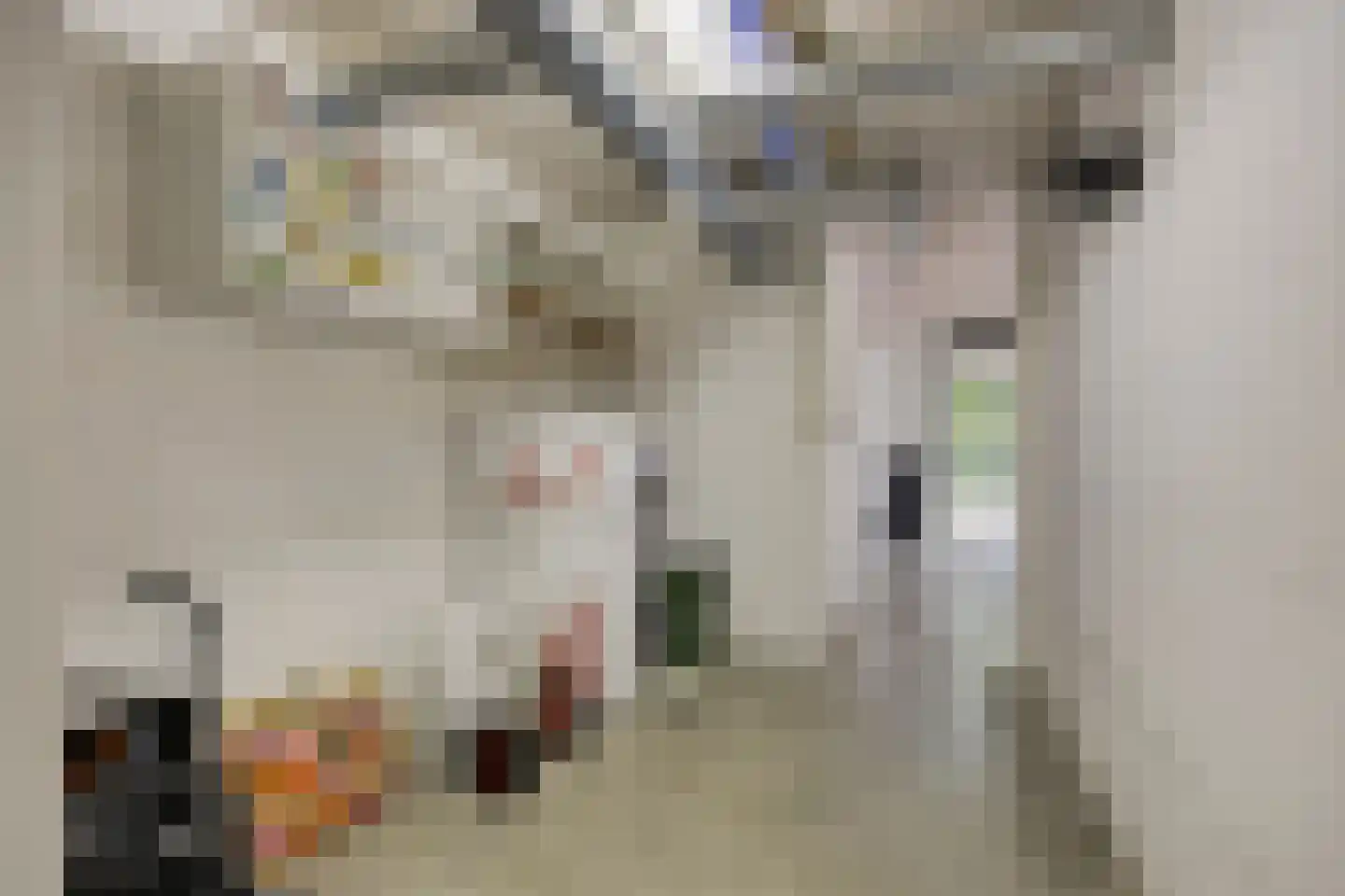 Symfonie 18 Uden thumbnail 30